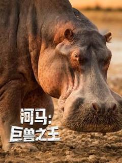 免费在线观看《河马：巨兽之王》