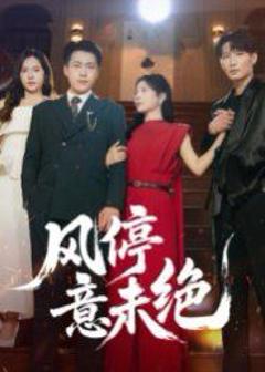 免费在线观看完整版短剧《风停意未绝》