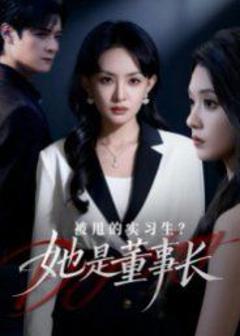 免费在线观看完整版短剧《被甩的实习生？她是董事长！》