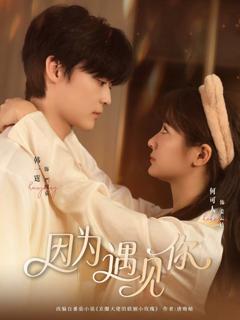 免费在线观看完整版短剧《因为遇见你》