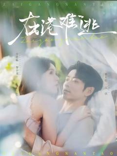 免费在线观看完整版短剧《在港难逃》