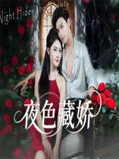 免费在线观看完整版短剧《夜色藏娇》