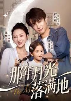 免费在线观看完整版短剧《那年月光落满地》