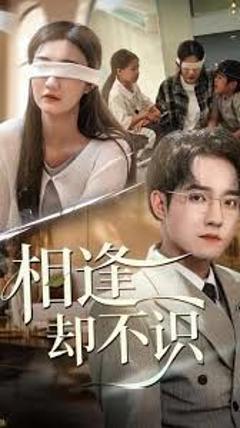 免费在线观看完整版短剧《相逢却不识》