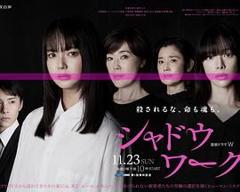 免费在线观看完整版日韩剧《影子工作》