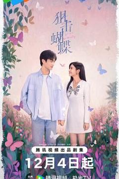 免费在线观看完整版国产剧《狙击蝴蝶》