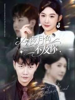 免费在线观看完整版短剧《今夜月色不及你》
