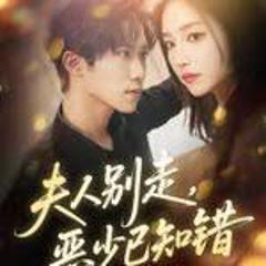 免费在线观看完整版短剧《夫人别走恶少已知错》