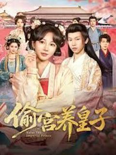 免费在线观看完整版短剧《偷宫养皇子》