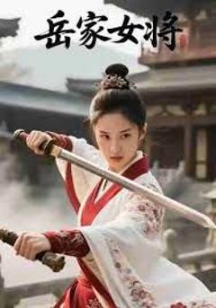 免费在线观看完整版短剧《岳家女将》