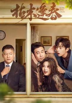 免费在线观看完整版短剧《枯木逢春》