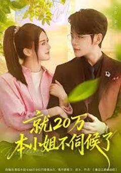 免费在线观看完整版短剧《就20万！本小姐不伺候了》