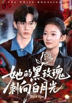 免费在线观看完整版短剧《她的黑玫瑰刺向白月光》