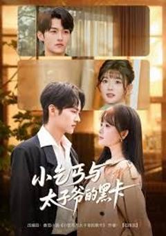 免费在线观看完整版短剧《小乞丐与太子爷的黑卡》