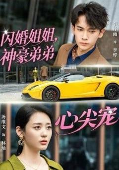 免费在线观看完整版短剧《闪婚姐姐，神豪弟弟心尖宠》