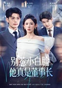 免费在线观看完整版短剧《别惹小白脸，他真是董事长》