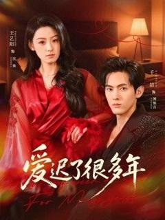 免费在线观看完整版短剧《爱迟了很多年》