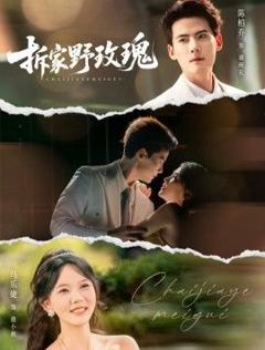 免费在线观看完整版短剧《拆家野玫瑰》