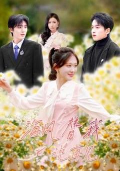 免费在线观看完整版短剧《海风替我说再见》