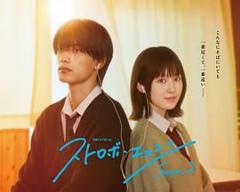 免费在线观看完整版日韩剧《闪烁的爱情 第二季》