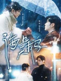 免费在线观看完整版短剧《海上天鹅》