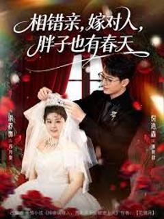 免费在线观看完整版短剧《相错亲嫁对人胖子也有春天》