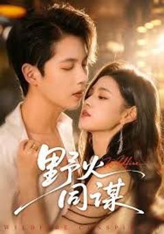 免费在线观看完整版短剧《野火同谋》