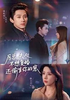免费在线观看完整版短剧《厉总，夫人不想复婚还偷生你的崽》