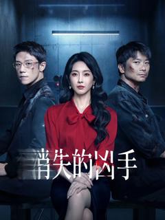 免费在线观看完整版国产剧《消失的凶手》