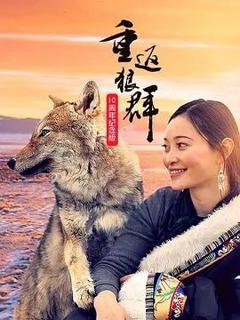 免费在线观看完整版国产剧《重返狼群10周年纪念版》