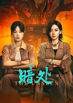 免费在线观看完整版国产剧《暗处》