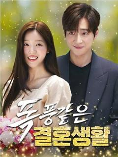 免费在线观看完整版短剧《以爱为契（2025）》