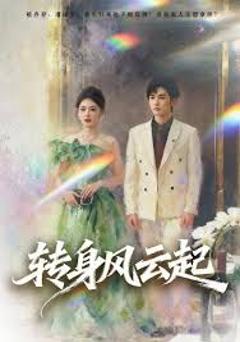 免费在线观看完整版短剧《转身风云起》