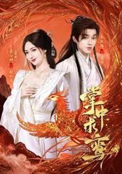 免费在线观看完整版短剧《掌中求鸾》