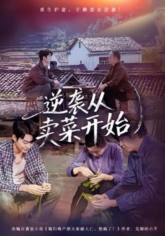 免费在线观看完整版短剧《逆袭从卖菜开始》