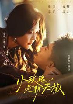 免费在线观看完整版短剧《小玫瑰是朝天椒》