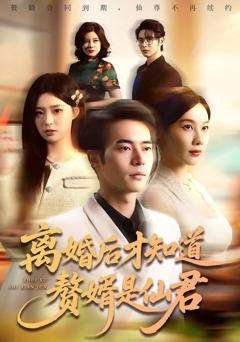 离婚后才知道赘婿是仙君