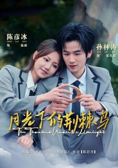 免费在线观看完整版短剧《月光下的荆棘鸟》