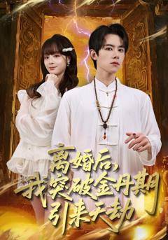 离婚后，我突破金丹期，引来天劫