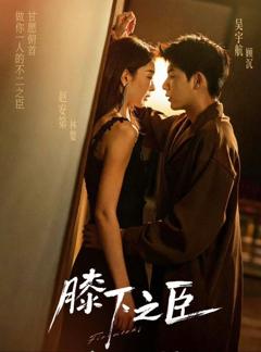 免费在线观看完整版短剧《膝下之臣》