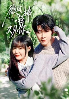 免费在线观看完整版短剧《微风轻拂又见你》