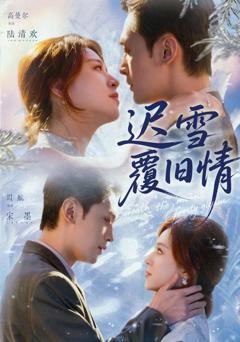 免费在线观看完整版短剧《迟雪覆旧情》