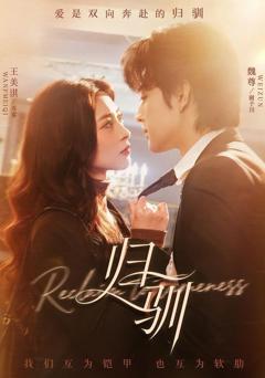 免费在线观看完整版短剧《归驯》