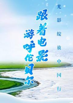 跟着电影游呼伦贝尔