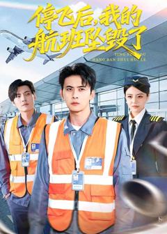 停飞后，我的航班坠毁了