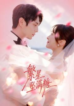 免费在线观看完整版短剧《繁星坠满糖》