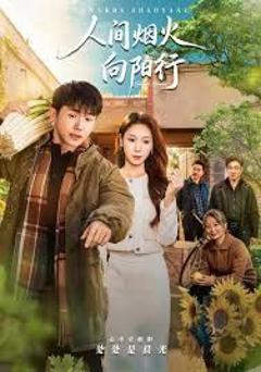免费在线观看完整版短剧《人间烟火向阳行》