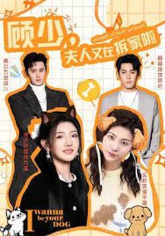 免费在线观看完整版短剧《顾少，夫人又在拆家啦》