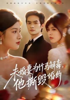 免费在线观看完整版短剧《未婚妻为竹马解毒，他撕毁婚约》