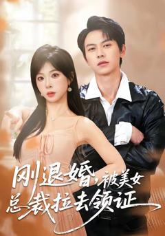 免费在线观看完整版短剧《刚退婚，被美女总裁拉去领证》